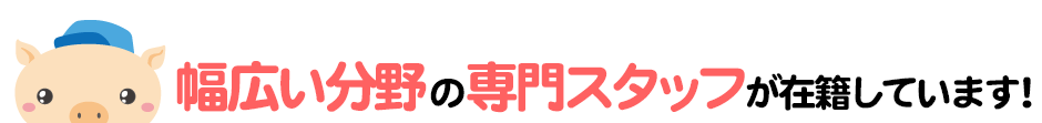 幅広い分野の専門スタッフが在籍しています！
